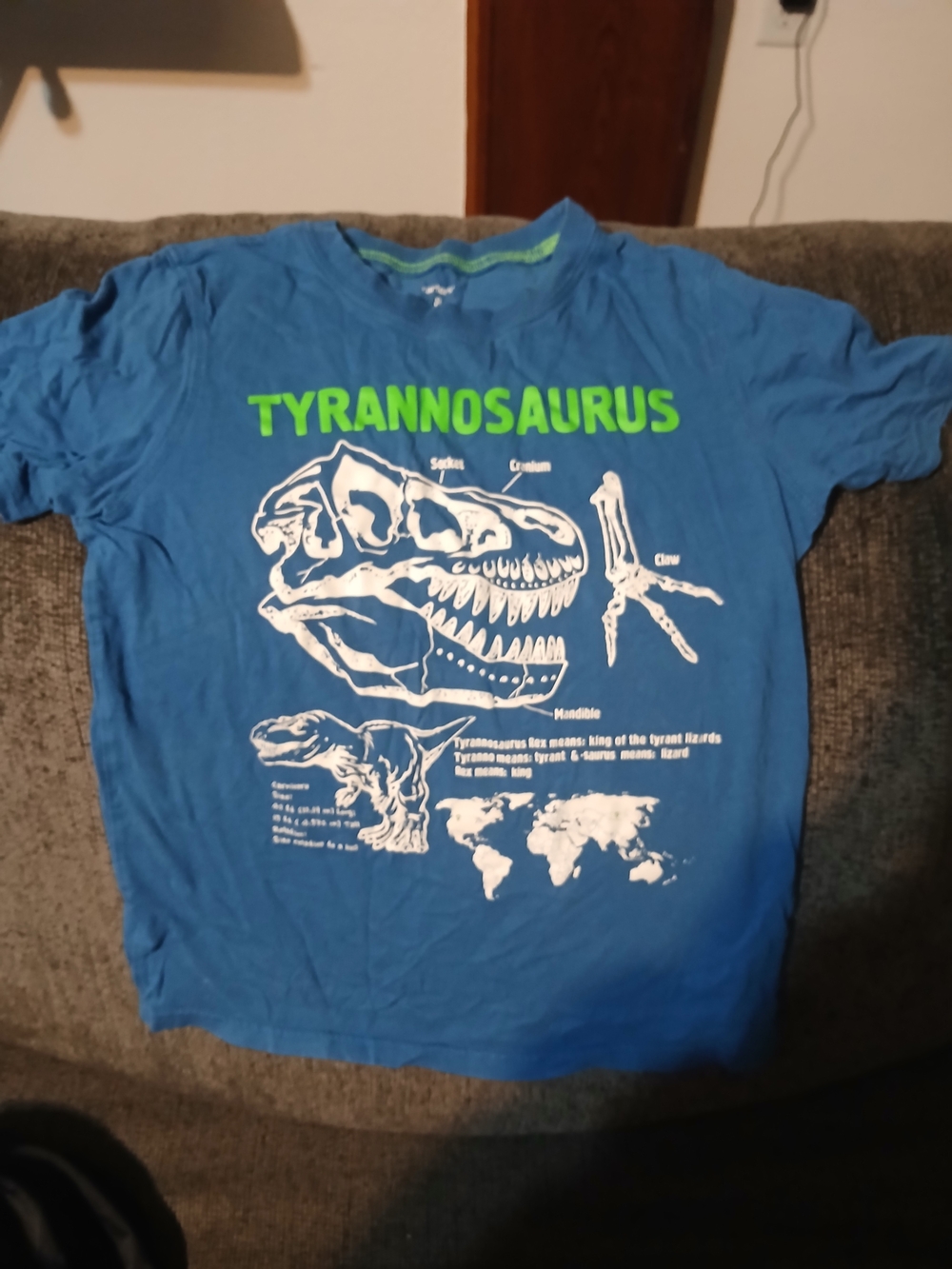 Carter's Blue Tee with Green 'Tyrannosaurus' Graphic